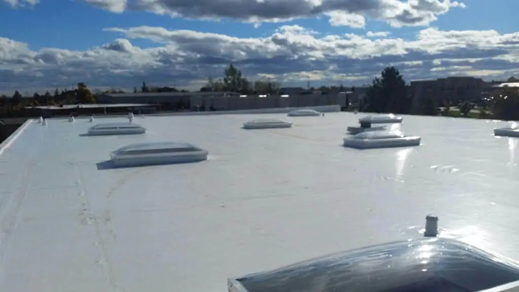 Roof-level view across a white membrane roof with domed skylights and perimeter edge detail